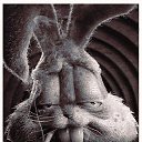 ���� ����, ����������, 58 ��� - ��������� 16 ������� 2025 � ������ ���� ����������