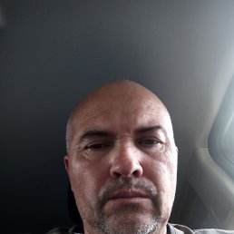  , 49, 