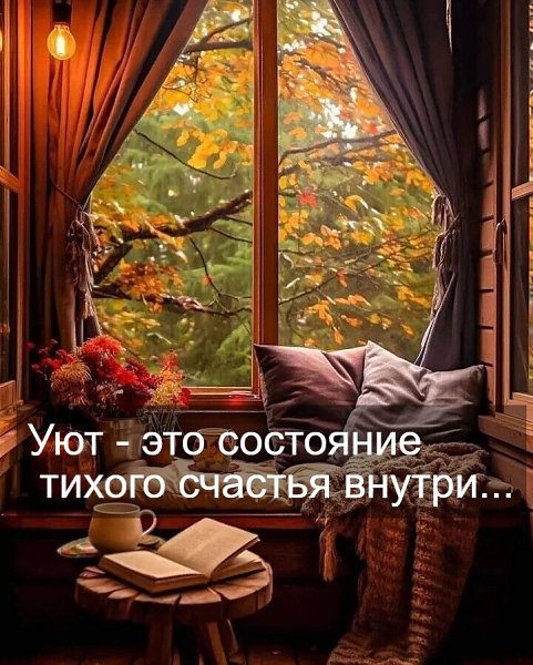   - 15  2024  10:02