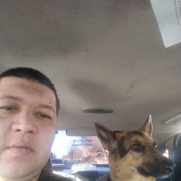 �����, 35 ���, �������-�����