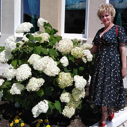 ���� �������, ������, 70 ��� - ��������� 12 ������ 2024