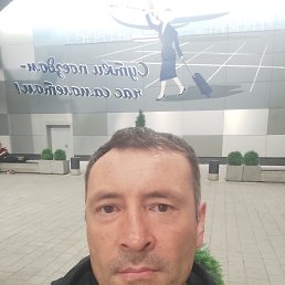 ���� ������, ���, 44 ���� - ��������� 29 ��� 2026