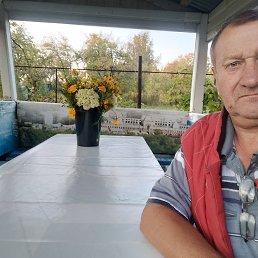 , 56, 