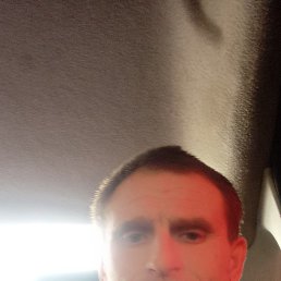 ������, 41 ���, ��������