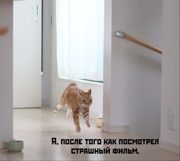 ��� ���� � ����� �� �� - 3 ������ 2026 � 17:03