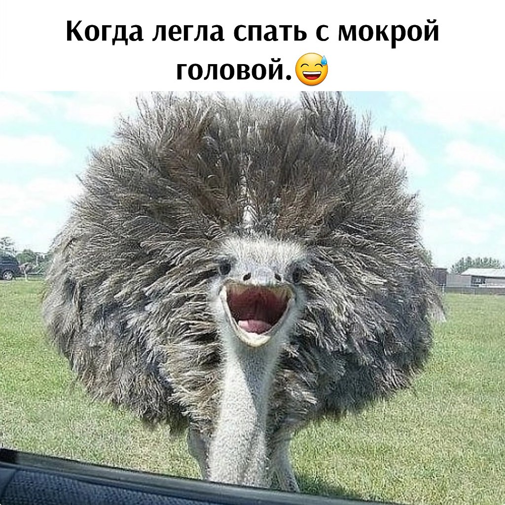   - 22  2024  09:52