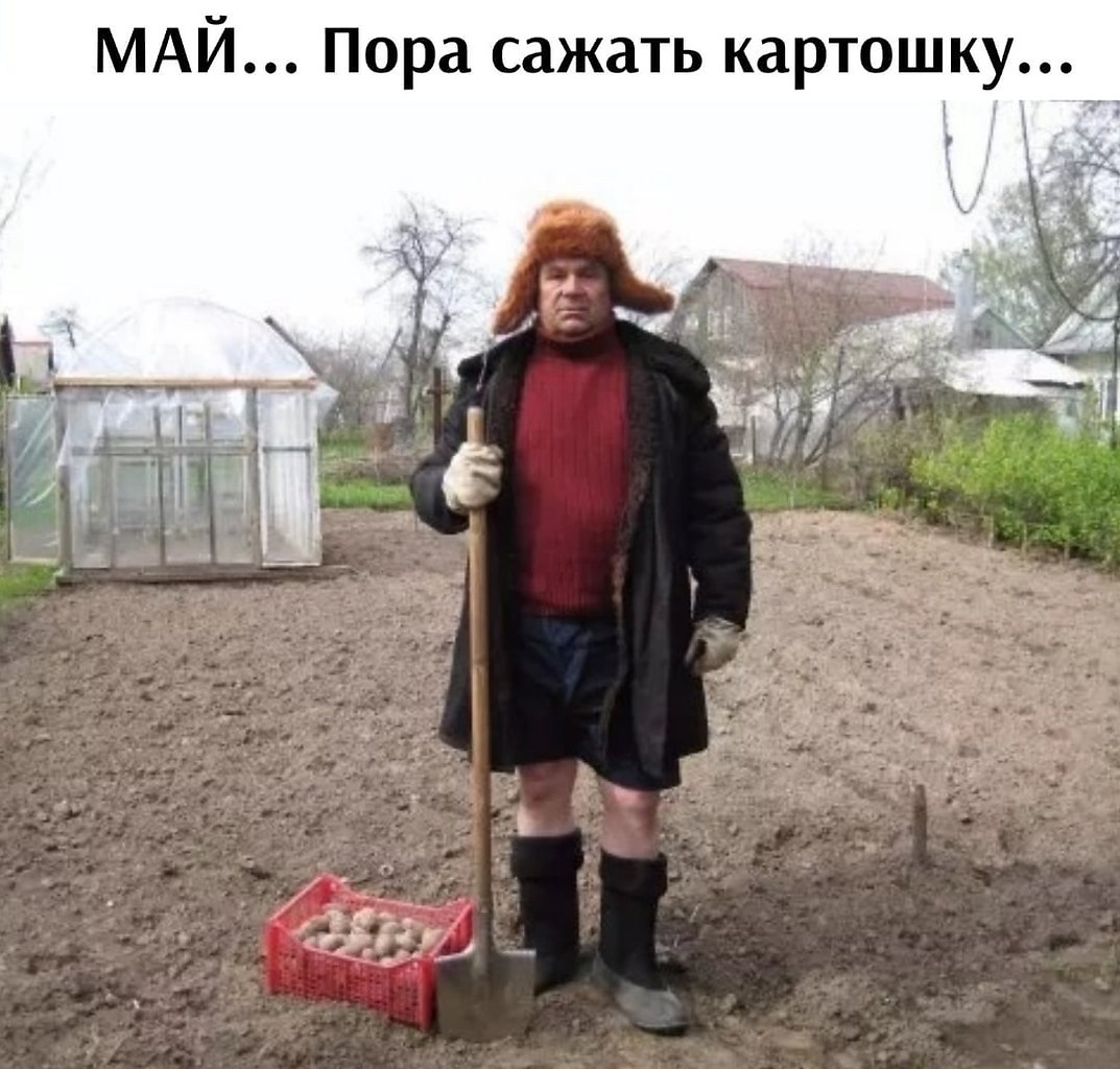   - 19  2025  18:32