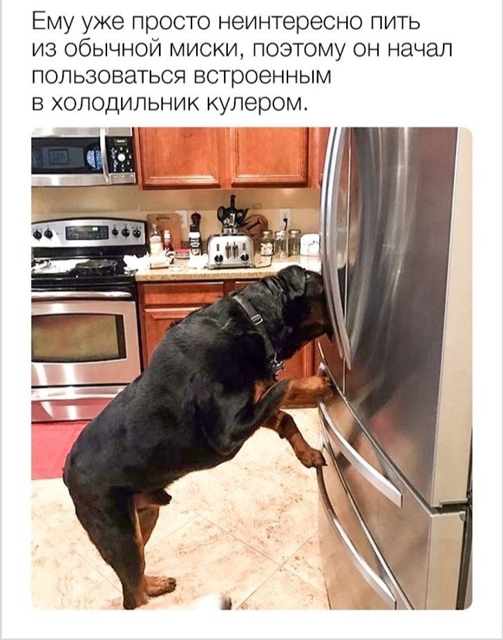 ,  