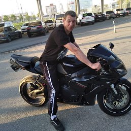 , 41, 
