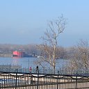 ���� Daniel, ���� - ��������� 8 ������� 2026