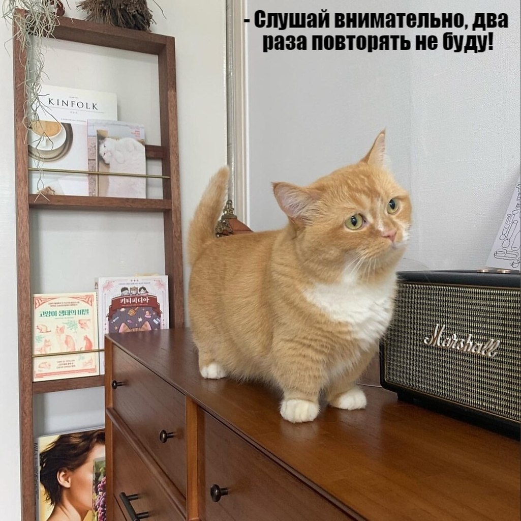       - 1  2025  11:42
