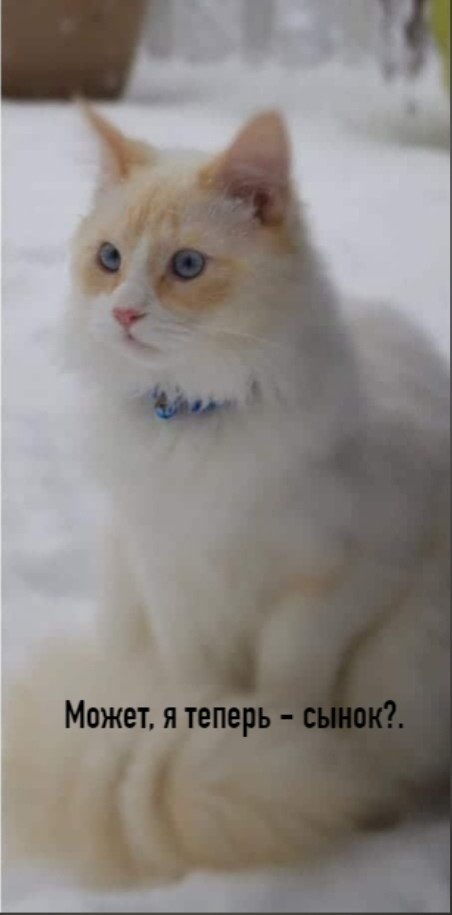       - 7  2025  16:55 - 3