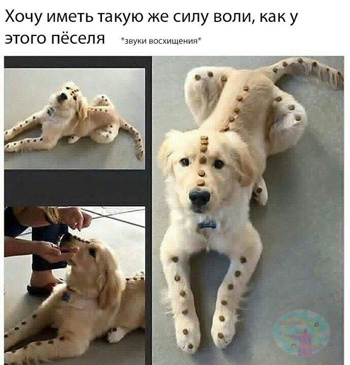    - 27  2023  02:34