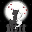 ���� ����, ���������, 46 ��� - ��������� 8 ���� 2024 � ������ ���� ����������