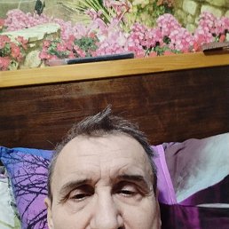 , 66, 