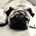 ���� ������, ������� - ��������� 12 ������ 2025 � ������ ������ ��������