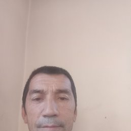 , 52, 