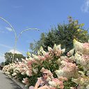 ���� �����, ������������, 50 ��� - ��������� 16 ������� 2026 � ������ ���� ����������