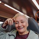 ���� ��., ����-������� - ��������� 29 ���� 2026 � ������ ���� ����������