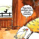  Sunshine, , 49  -  16  2025    