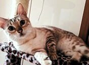 Uegenia Seidel - 6  2025  19:22