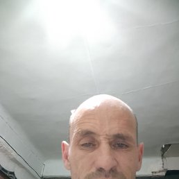 ������, 46 ���, ���