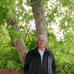 , 67, 