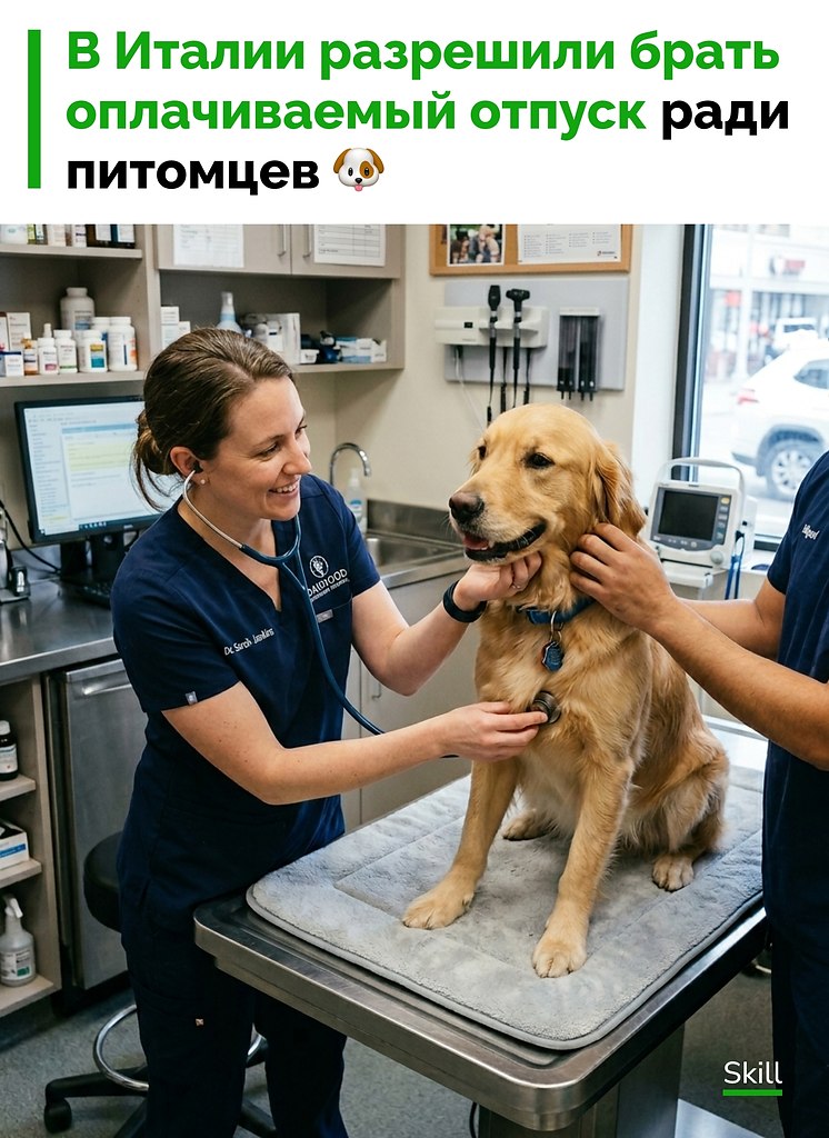 ������ ����� ������ �������, ��� ����� ���������� ����� ������������ ��������, ����� ��������� �� ...