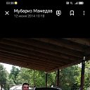 ���� �������, �������, 56 ��� - ��������� 29 ������ 2023 � ������ ���� ����������