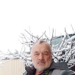 ��������, 62 ����, ���������