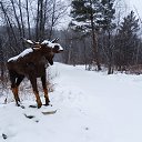 ���� ���������, ������������ - ��������� 28 ������ 2025 � ������ ���� ����������
