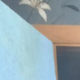 ����, ������, 34 ����