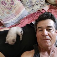 ��������, 59 ���, �������