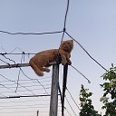 ���� �������, ���������, 61 ��� - ��������� 22 ������ 2025 � ������ ������ ��������