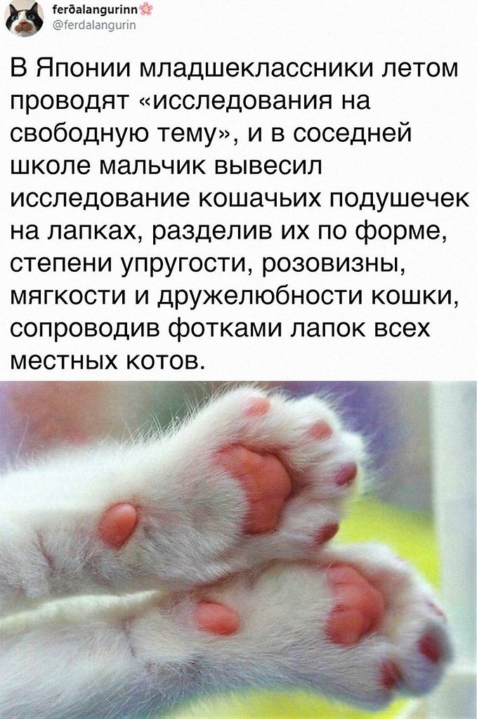    - 12  2025  04:23