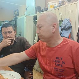 , 49 , 