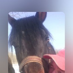 ���� ��������, ������, 48 ��� - ��������� 25 ������� 2025