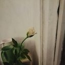 ���� ����, ����, 31 ��� - ��������� 21 ������ 2025 � ������ ������ ���������� ����ۻ