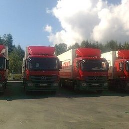 ������, �����-���������, 62 ����