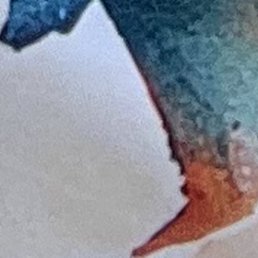 �������, ������, 38 ���