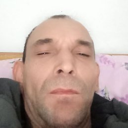 , , 44 