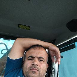  , 41, 
