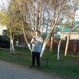 , 36, 
