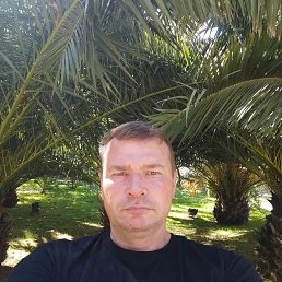 ���� �����, ���������, 51 ��� - ��������� 8 ������� 2025