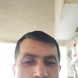 , 43, 