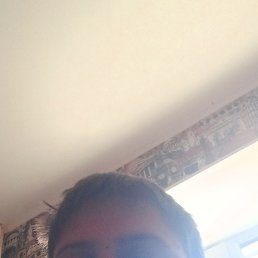 , 24, 