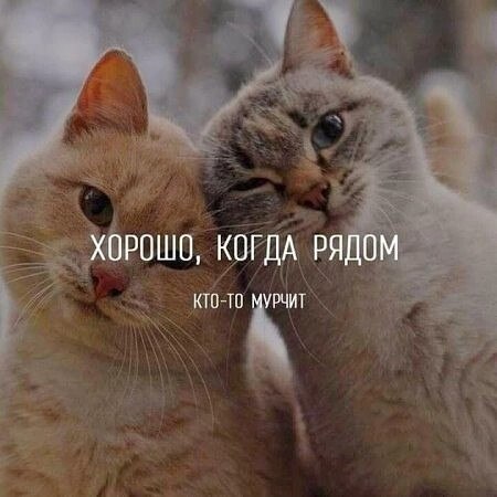  - 8  2025  23:13