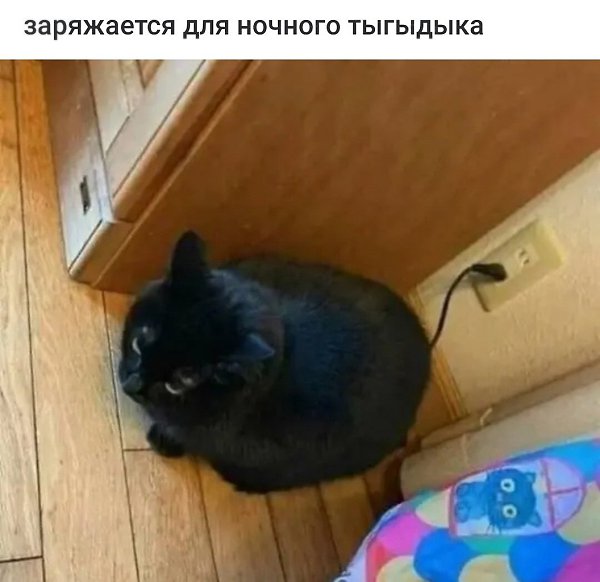   - 17  2024  18:02
