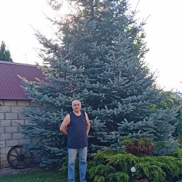 ���� �����, ������, 60 ��� - ��������� 8 ������ 2026