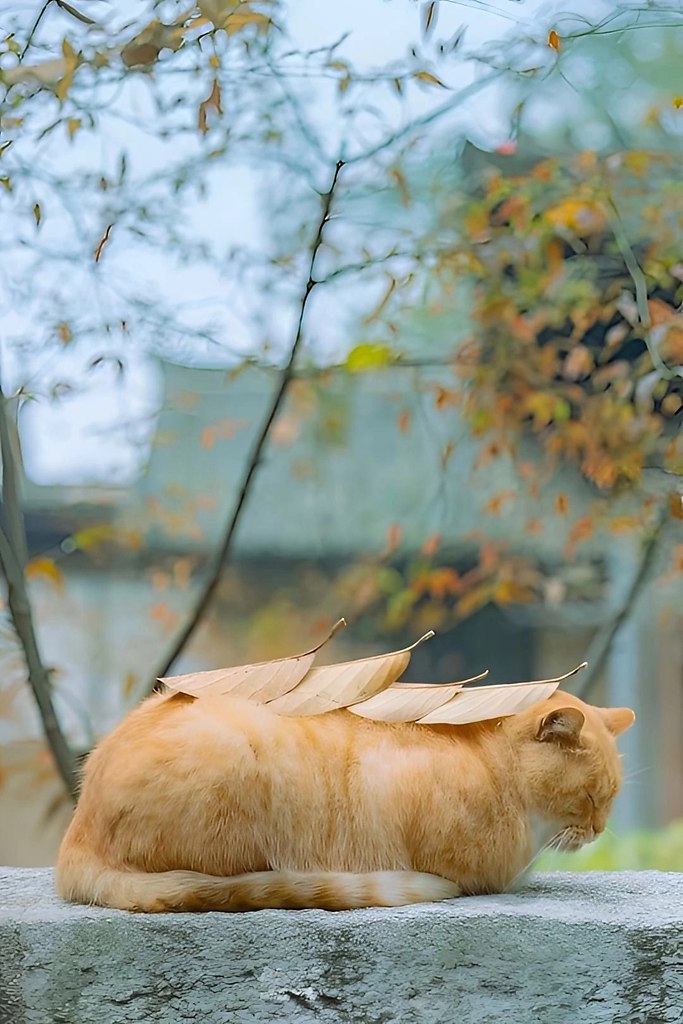       - 2